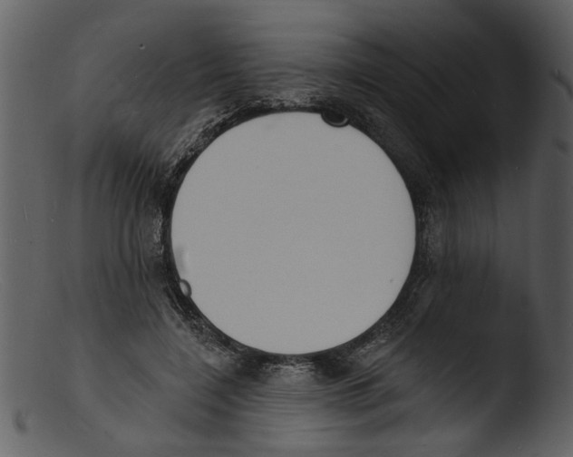 X0000103300548200809261316