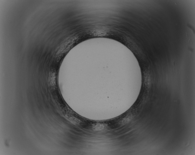 X0000103300549200809261316