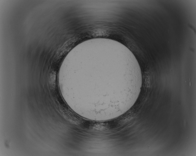 X0000103300550200809261316