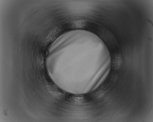 X0000103300552200809261316