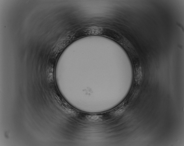 X0000103300553200809261316