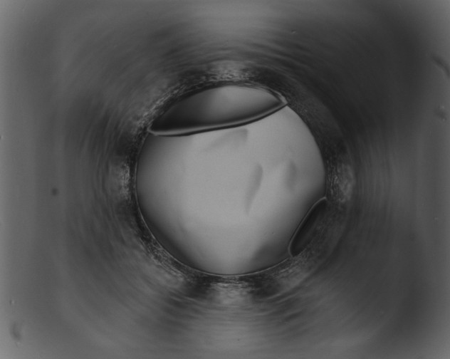 X0000103300556200809261316