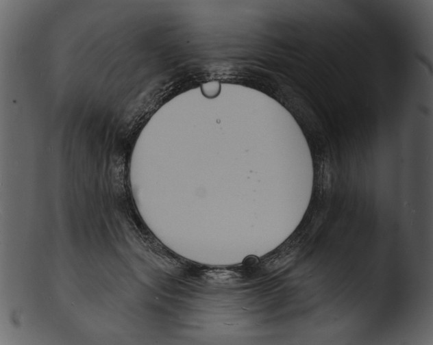 X0000103300557200809261316