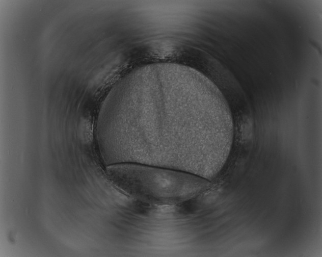 X0000103300558200809261316