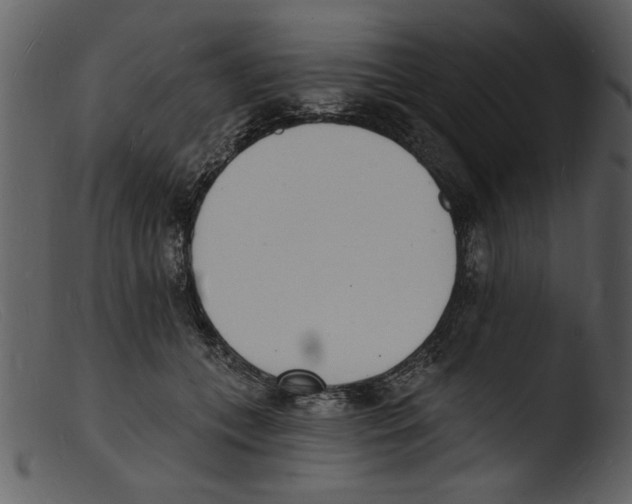 X0000103300559200809261316