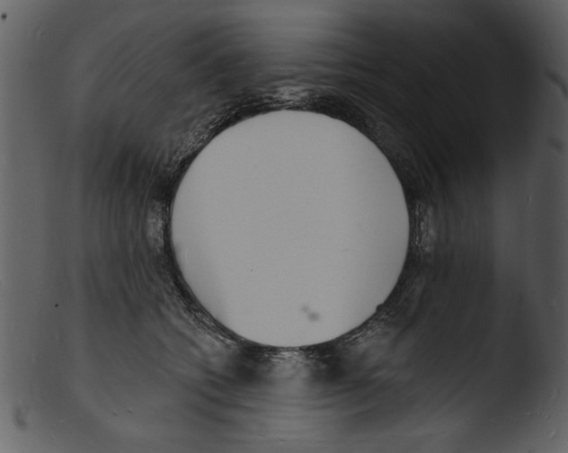 X0000103300562200809261316
