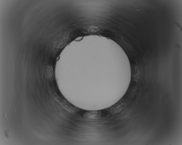 X0000103300563200809261316