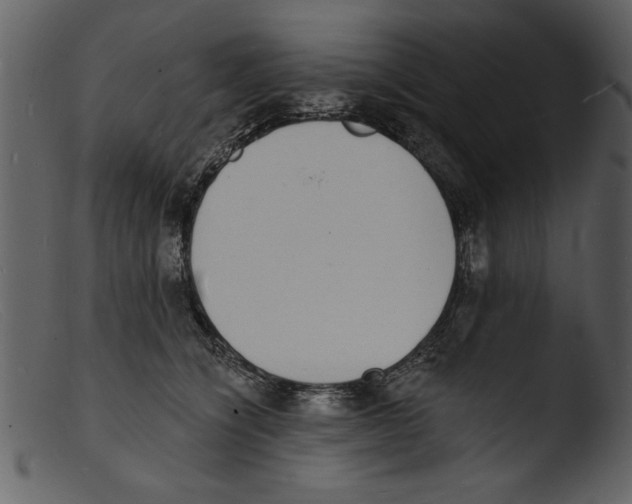 X0000103300564200809261316