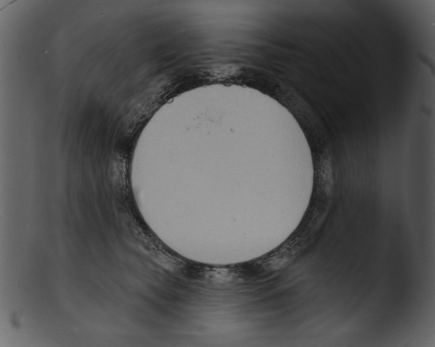 X0000103300565200809261316
