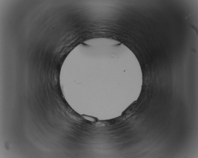 X0000103300566200809261316