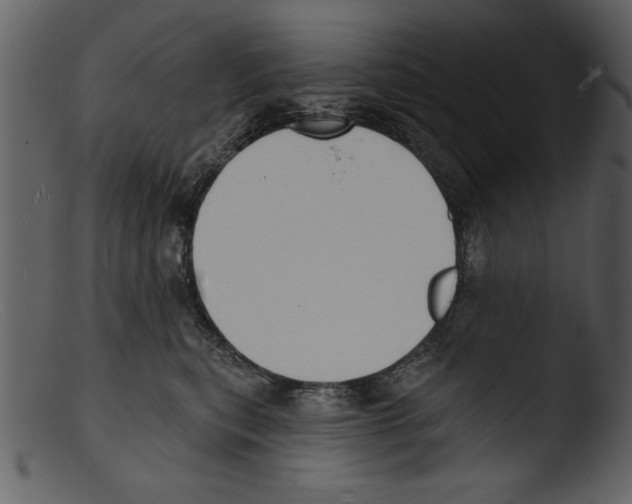 X0000103300567200809261316