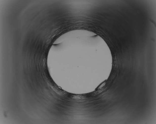 X0000103300568200809261316
