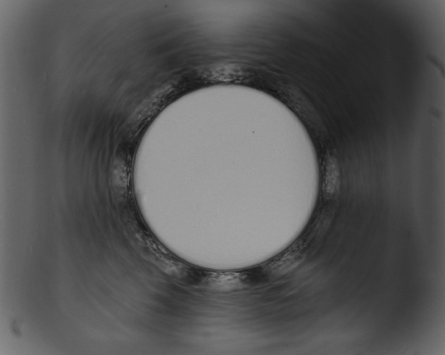 X0000103300569200809261316