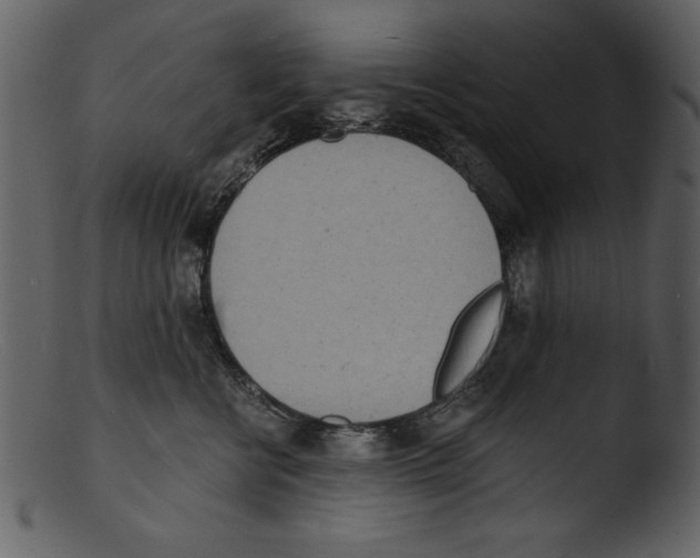 X0000103300570200809261316