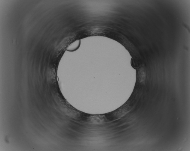 X0000103300571200809261316