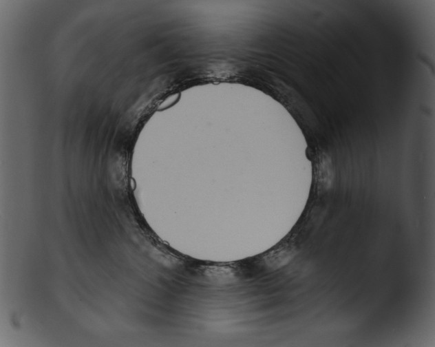 X0000103300572200809261316