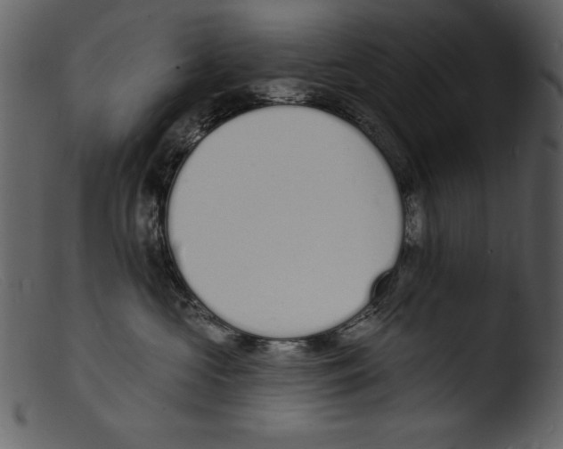 X0000103300573200809261316