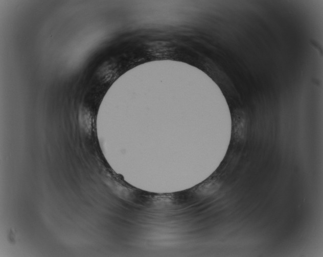 X0000103300574200809261316