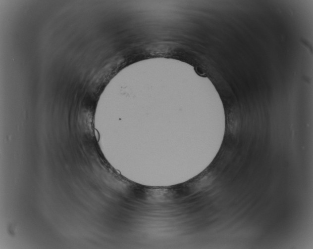 X0000103300575200809261316