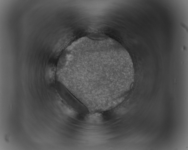 X0000103300576200809261316