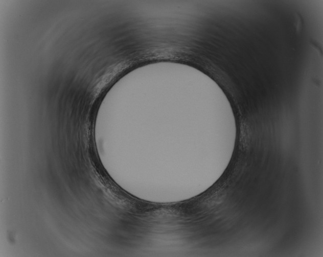 X0000103300578200809261315