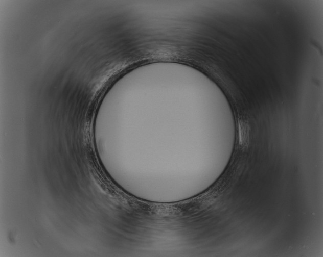 X0000103300579200809261315