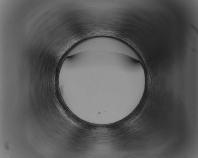 X0000103300581200809261315