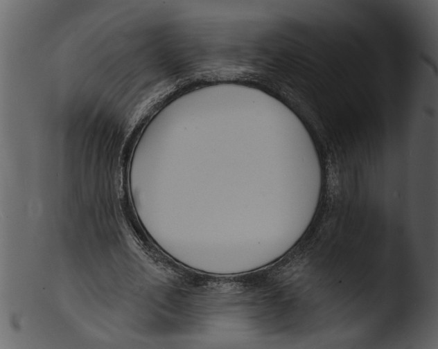 X0000103300582200809261315