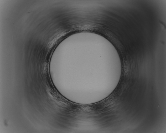 X0000103300583200809261315