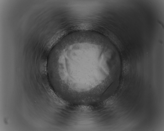 X0000103300585200809261315