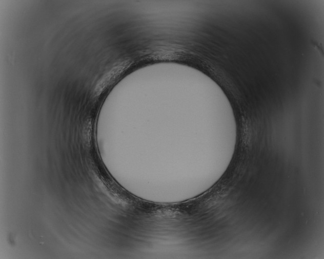 X0000103300586200809261315