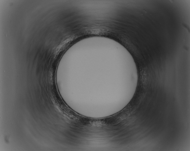 X0000103300587200809261315