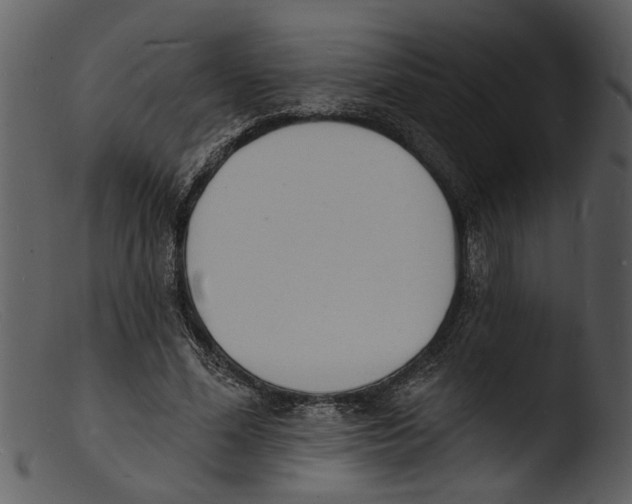 X0000103300588200809261315
