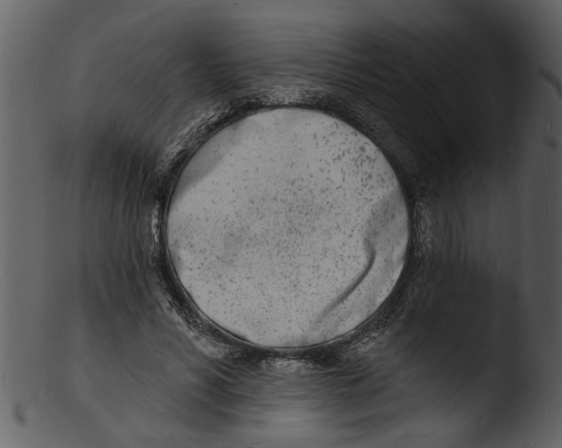 X0000103300590200809261315