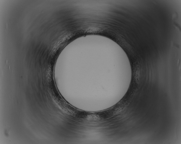 X0000103300591200809261315