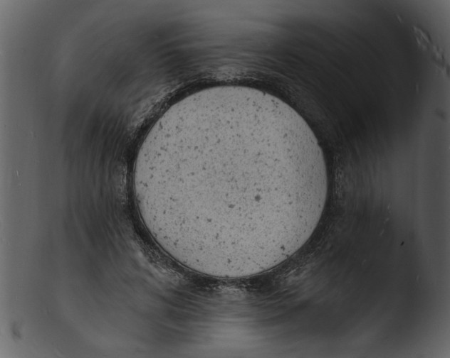 X0000103300592200809261315
