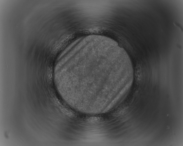 X0000103300593200809261315