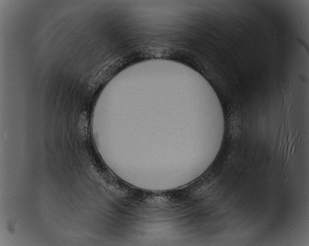 X0000103300594200809261315