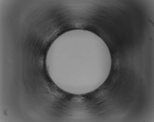 X0000103300595200809261315