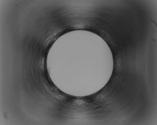 X0000103300596200809261315