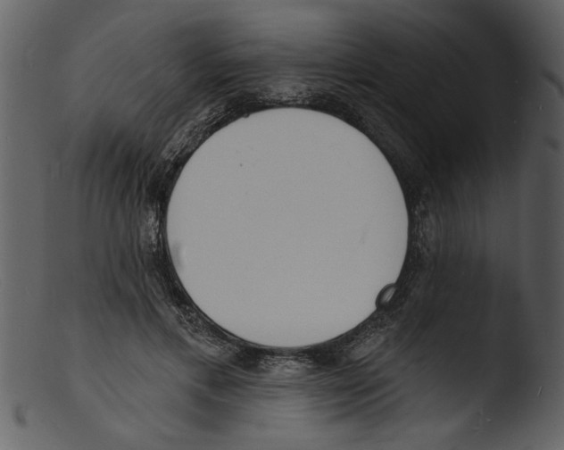 X0000103300597200809261315