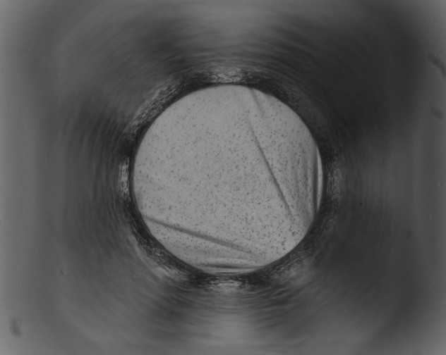 X0000103300598200809261315