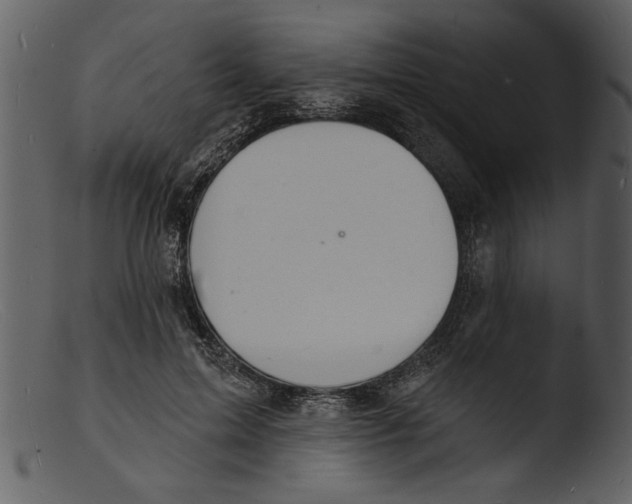 X0000103300599200809261315