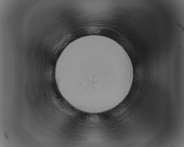 X0000103300600200809261315