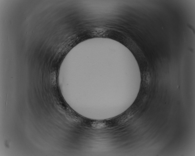 X0000103300602200809261315