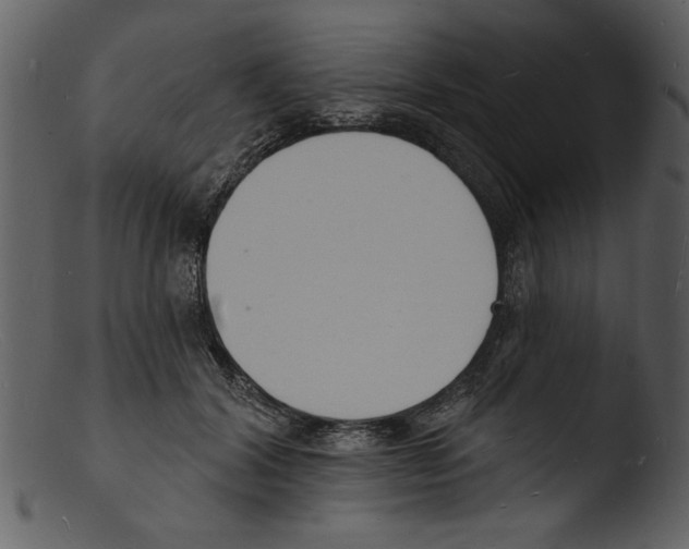 X0000103300604200809261315