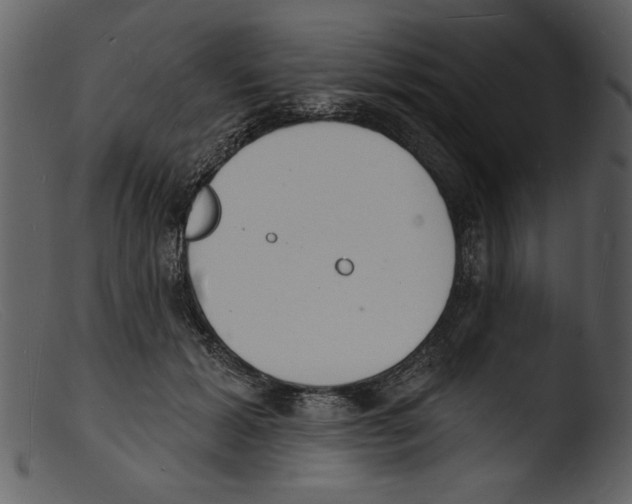 X0000103300605200809261315
