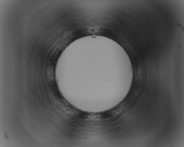 X0000103300606200809261315