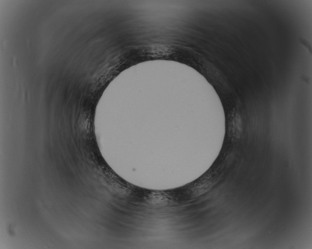 X0000103300608200809261315