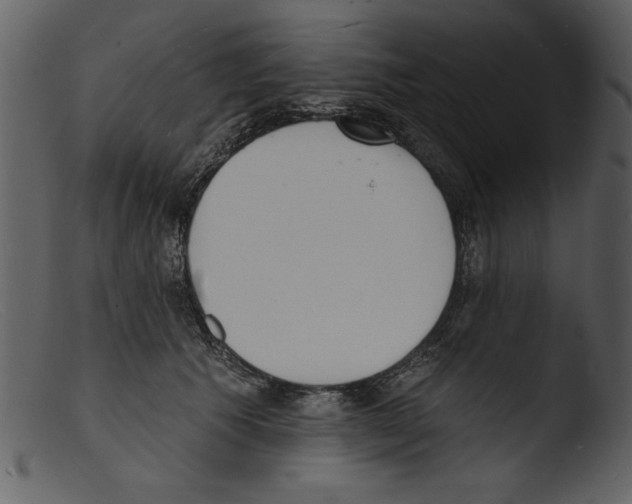 X0000103300609200809261315